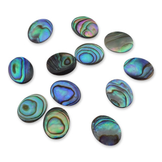 Paua abalone kaboszon 10x8 mm 1 szt.