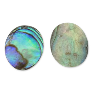 Paua abalone kaboszon 10x8 mm 1 szt.