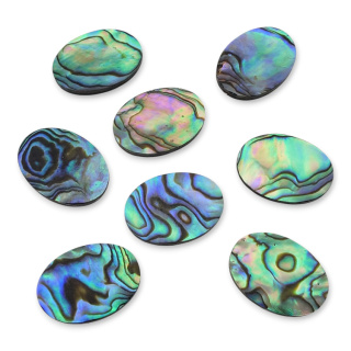 Paua abalone kaboszon 18x13 mm 1 szt.