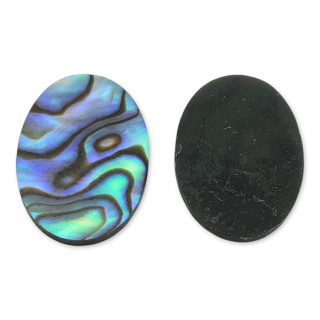 Paua abalone kaboszon 18x13 mm 1 szt.