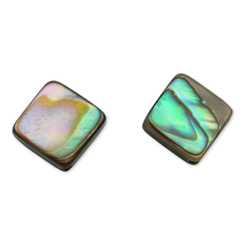 Paua abalone rąb z dziurką 10x10 mm 1 szt.