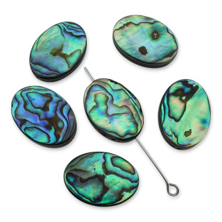 Paua abalone owal z dziurką 14x10 mm 1 szt.