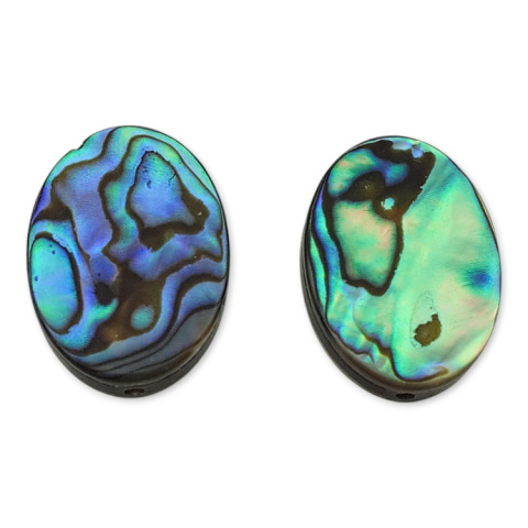 Paua abalone owal z dziurką 14x10 mm 1 szt.