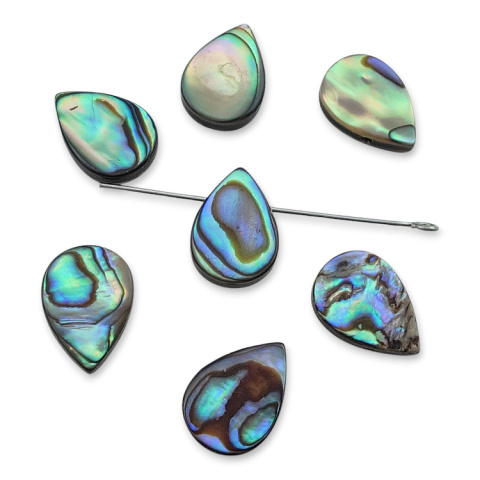 Paua abalone łezka z dziurką 14x10 mm 1 szt.