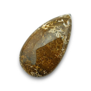 Jaspis oceaniczny kaboszon 33x18 mm nr 57