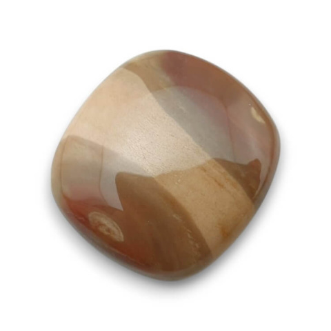 Skamieniałe drewno kaboszon 26x24 mm nr 53 Skamieniałe drewno kaboszon 26x24 mm nr 53