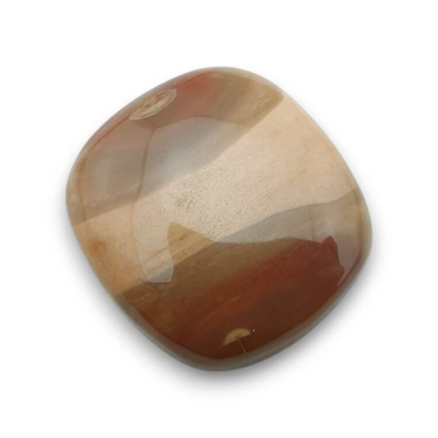 Skamieniałe drewno kaboszon 26x24 mm nr 53 Skamieniałe drewno kaboszon 26x24 mm nr 53