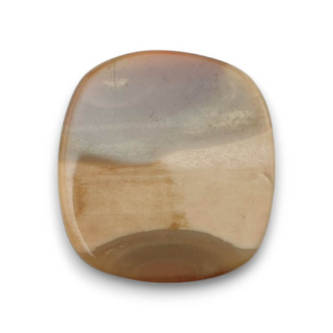 Skamieniałe drewno kaboszon 26x24 mm nr 53 Skamieniałe drewno kaboszon 26x24 mm nr 53