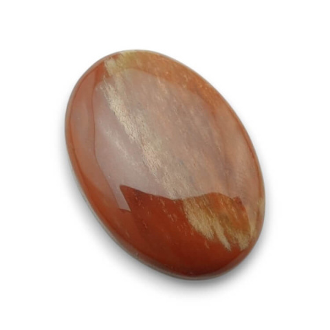 Skamieniałe drewno kaboszon 30x21 mm nr 38 Skamieniałe drewno kaboszon 30x21 mm nr 38