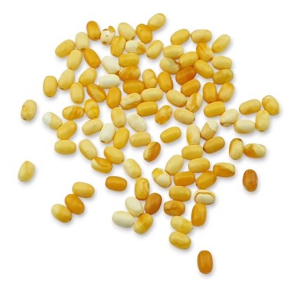 Bursztyn bałtycki mleczny koralik owal 4,5x3 mm 10 szt.