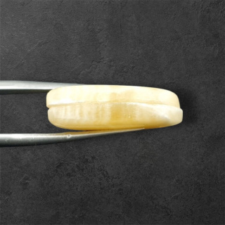 Żółty aragonit para kaboszonów z dziurką 25x11 mm nr P948