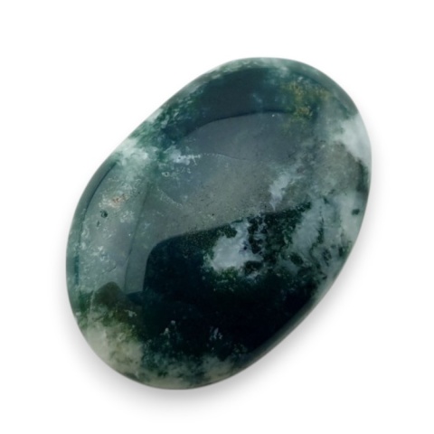 Agat drzewny kaboszon 23x16 mm nr 75 Agat drzewny kaboszon 23x16 mm nr 75
