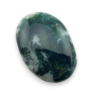 Agat drzewny kaboszon 23x16 mm nr 75