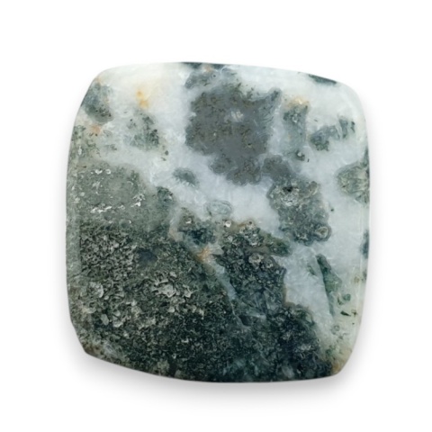Tree agate cabochon 23x21 mm no 84 Tree agate cabochon 23x21 mm no 84