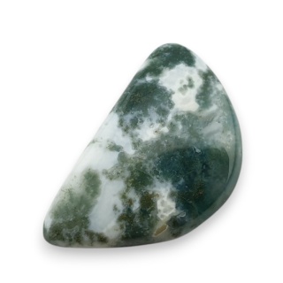 Agat drzewny kaboszon 24x15 mm nr 45