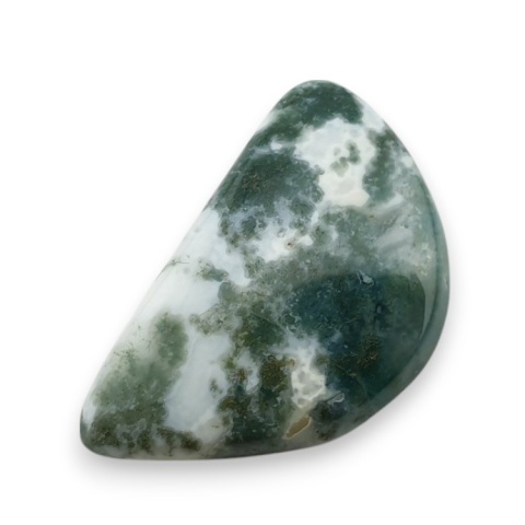 Tree agate cabochon 24x15 mm no 45 Tree agate cabochon 24x15 mm no 45