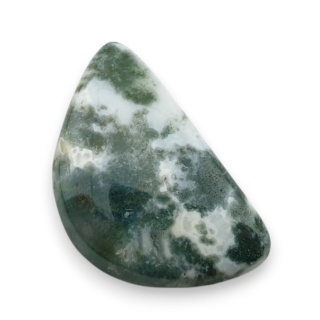 Agat drzewny kaboszon 24x15 mm nr 45