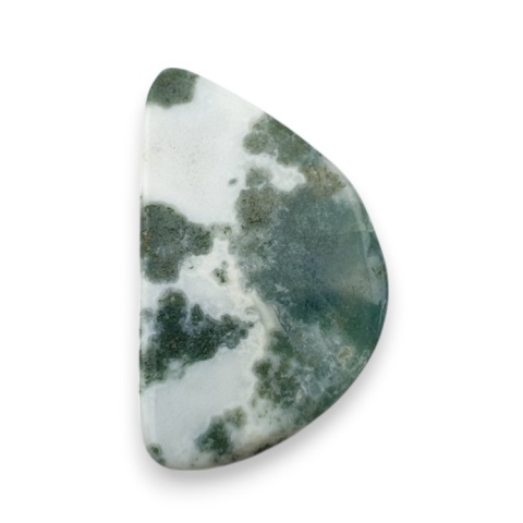 Tree agate cabochon 24x15 mm no 45 Tree agate cabochon 24x15 mm no 45