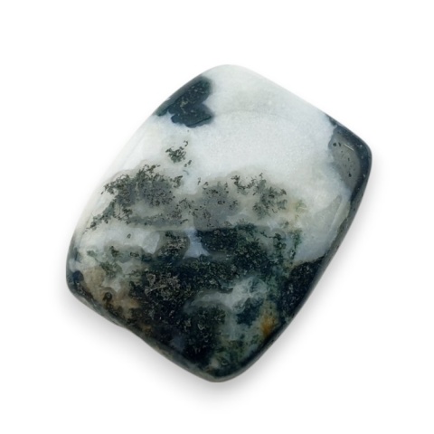 Tree agate cabochon 24x19 mm no 77 Tree agate cabochon 24x19 mm no 77