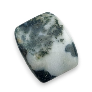 Agat drzewny kaboszon 24x19 mm nr 77