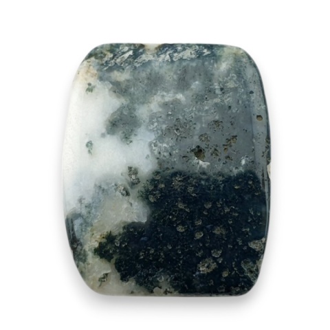 Tree agate cabochon 24x19 mm no 77 Tree agate cabochon 24x19 mm no 77
