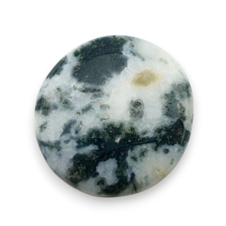 Agat drzewny kaboszon 24x22 mm nr 74