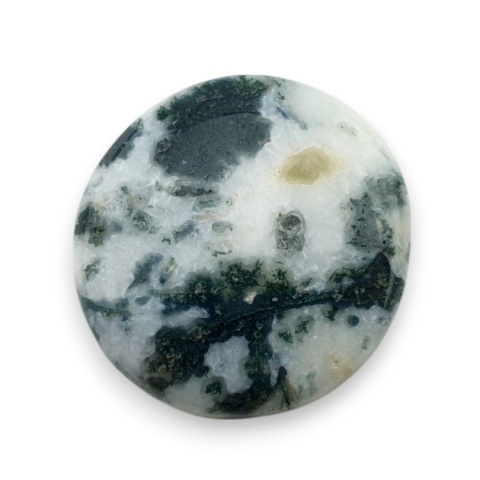 Tree agate cabochon 24x22 mm no 74 Tree agate cabochon 24x22 mm no 74
