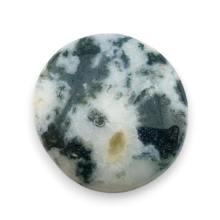 Agat drzewny kaboszon 24x22 mm nr 74