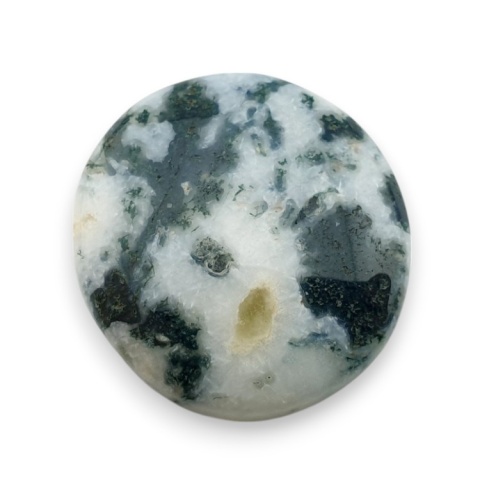 Tree agate cabochon 24x22 mm no 74 Tree agate cabochon 24x22 mm no 74