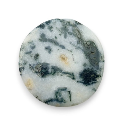 Tree agate cabochon 24x22 mm no 74 Tree agate cabochon 24x22 mm no 74