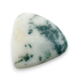 Agat drzewny kaboszon 24x23 mm nr 71