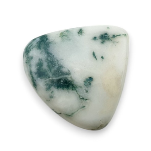 Agat drzewny kaboszon 24x23 mm nr 71 Agat drzewny kaboszon 24x23 mm nr 71