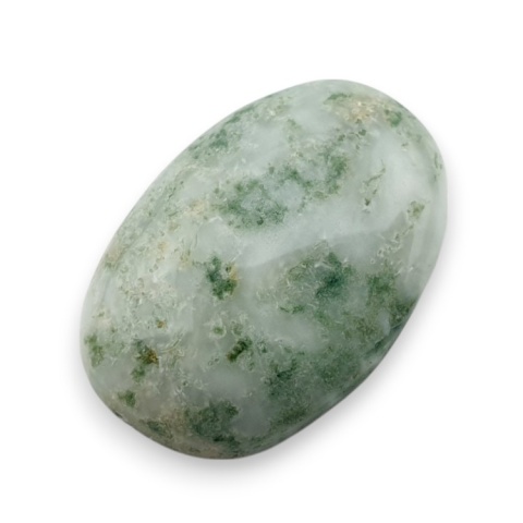 Tree agate cabochon 25x17 mm no 68 Tree agate cabochon 25x17 mm no 68