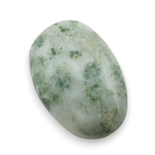 Agat drzewny kaboszon 25x17 mm nr 68