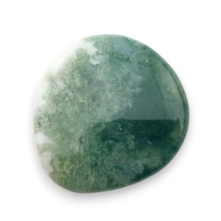 Agat drzewny kaboszon 25x23 mm nr 73