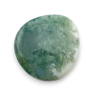 Agat drzewny kaboszon 25x23 mm nr 73