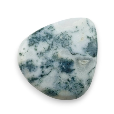 Agat drzewny kaboszon 25x23 mm nr 82 Agat drzewny kaboszon 25x23 mm nr 82