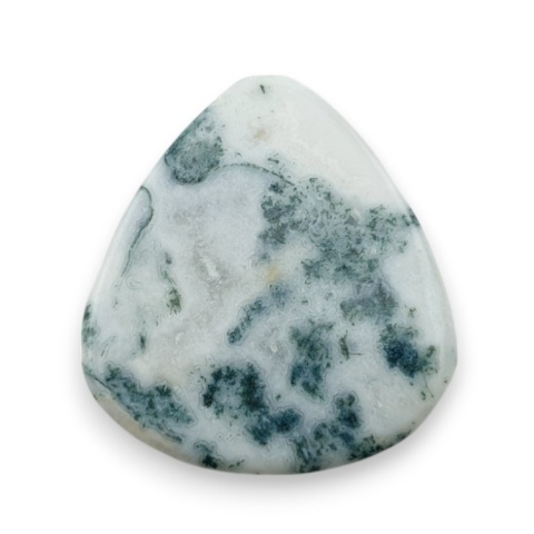 Agat drzewny kaboszon 25x23 mm nr 82 Agat drzewny kaboszon 25x23 mm nr 82