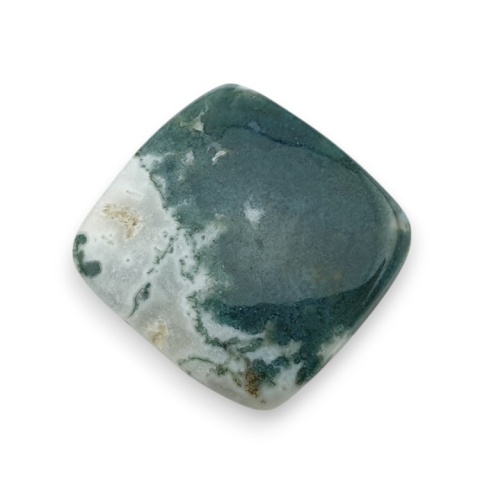 Agat drzewny kaboszon 25x24 mm nr 27