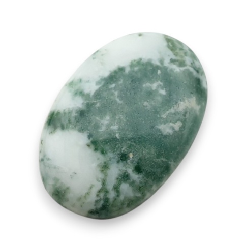 Agat drzewny kaboszon 26x18 mm nr 56 Agat drzewny kaboszon 26x18 mm nr 56