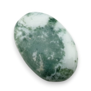 Agat drzewny kaboszon 26x18 mm nr 56