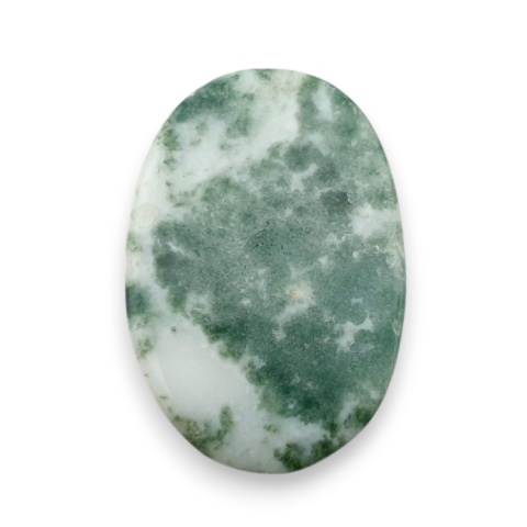 Agat drzewny kaboszon 26x18 mm nr 56 Agat drzewny kaboszon 26x18 mm nr 56
