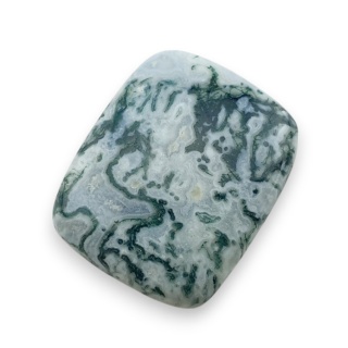 Agat drzewny kaboszon 26x21 mm nr 47