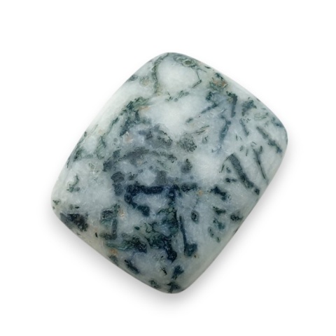 Tree agate cabochon 26x22 mm no 49 Tree agate cabochon 26x22 mm no 49