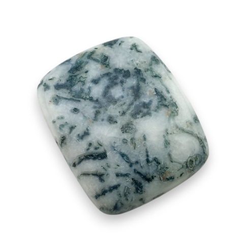 Tree agate cabochon 26x22 mm no 49 Tree agate cabochon 26x22 mm no 49