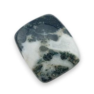 Agat drzewny kaboszon 26x22 mm nr 81