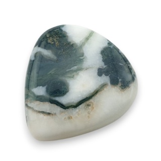 Agat drzewny kaboszon 26x25 mm nr 39