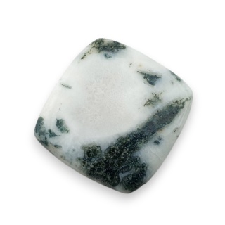 Agat drzewny kaboszon 26x25 mm nr 44