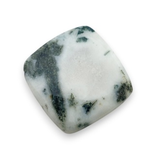 Agat drzewny kaboszon 26x25 mm nr 44