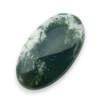 Agat drzewny kaboszon 27x15 mm nr 30